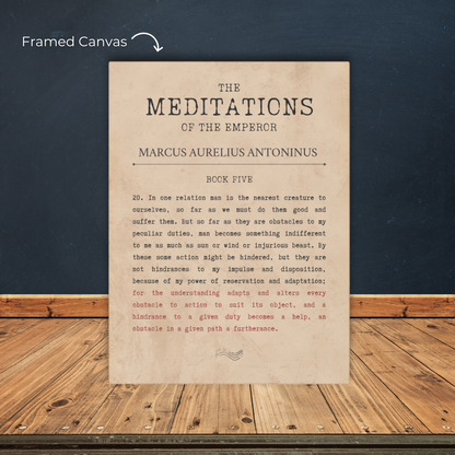 MEDITATIONS - STOIC ART CANVAS