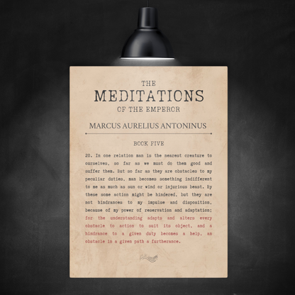 MEDITATIONS - STOIC ART CANVAS