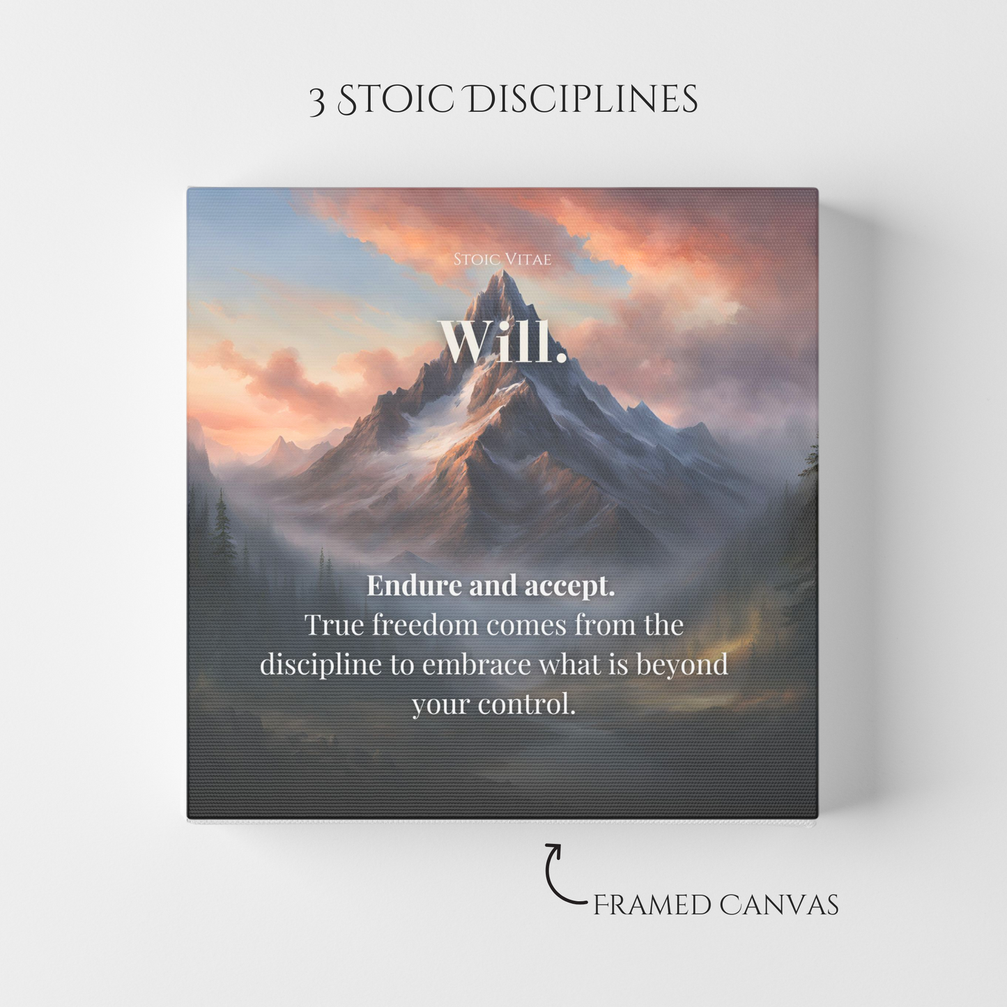 THREE DISCIPLINES: WILL - STOIC ART CANVAS