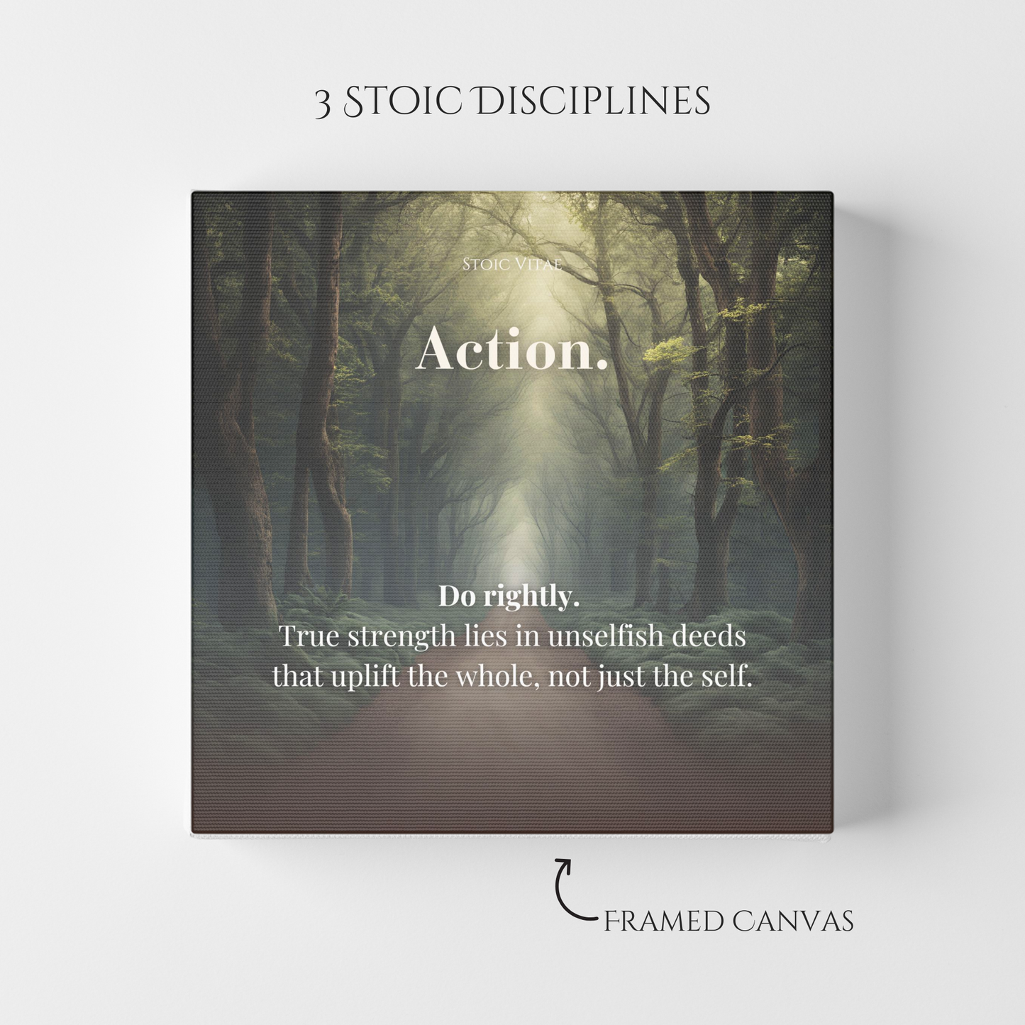 THREE DISCIPLINES: ACTION - STOIC ART CANVAS