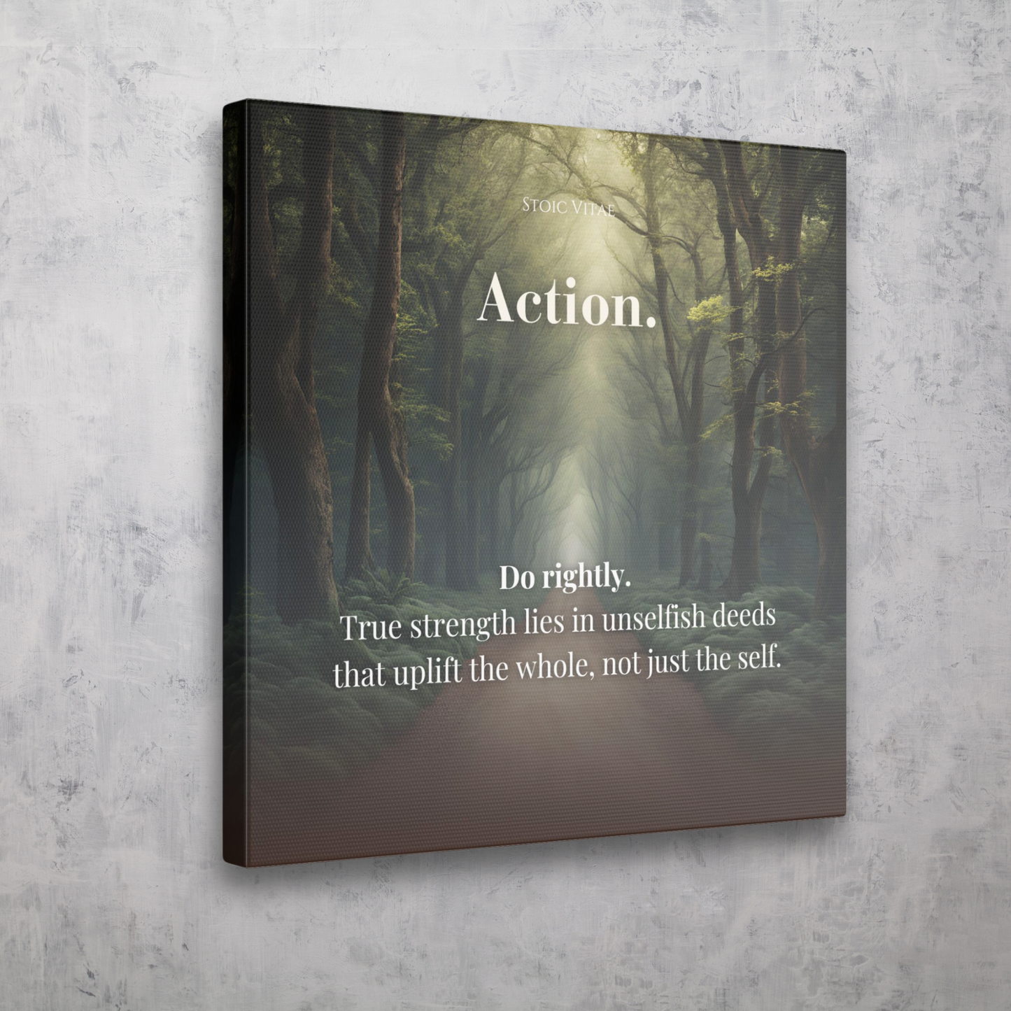 THREE DISCIPLINES: ACTION - STOIC ART CANVAS