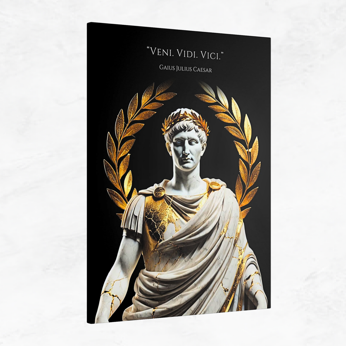 VENI VIDI VICI - STOIC ART CANVAS