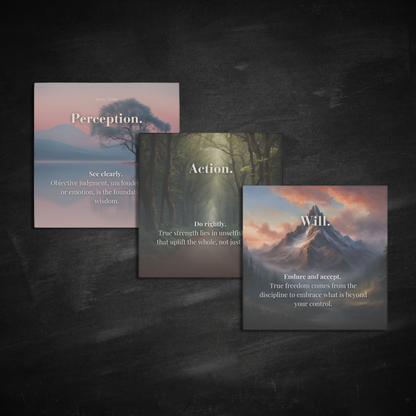 THE THREE DISCIPLINES OF STOICISM BUNDLE - STOIC ART CANVAS