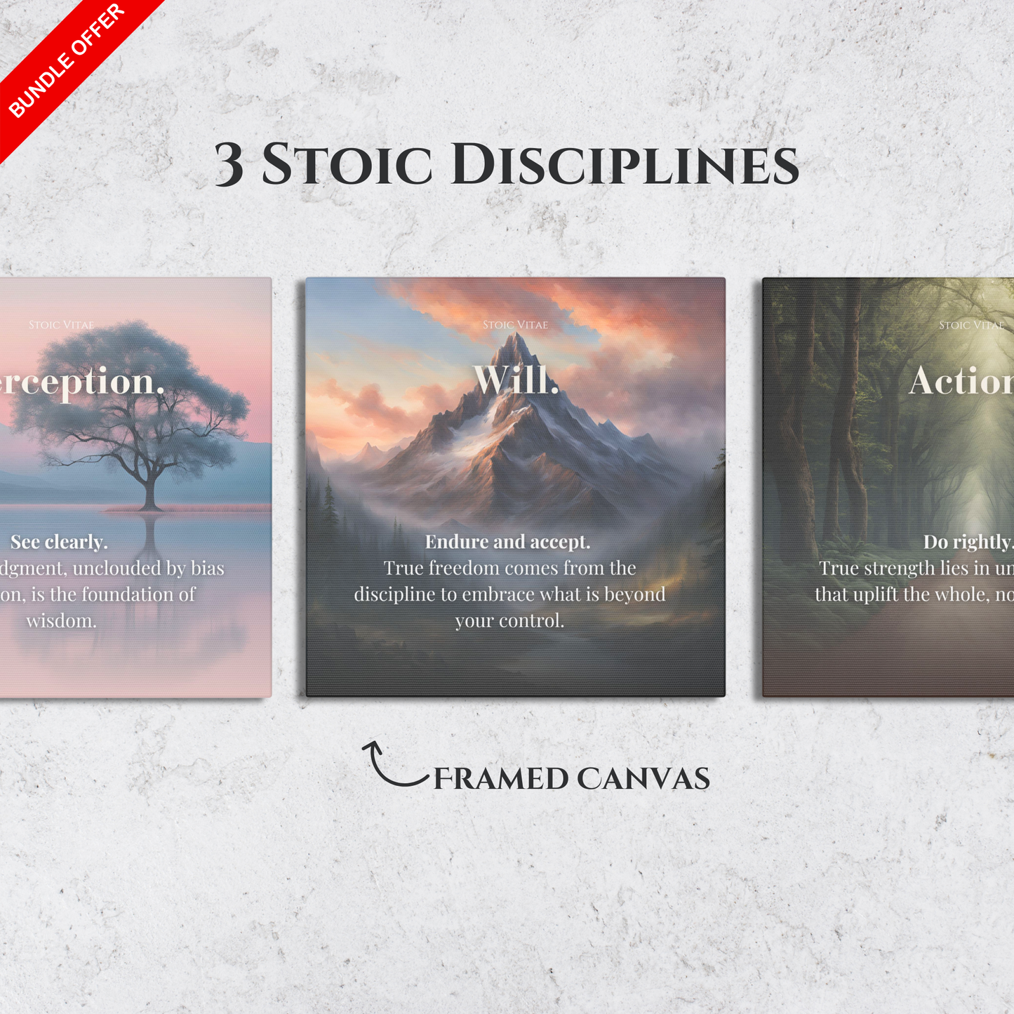 THE THREE DISCIPLINES OF STOICISM BUNDLE - STOIC ART CANVAS