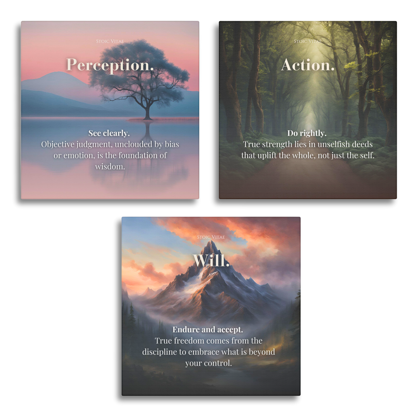 THE THREE DISCIPLINES OF STOICISM BUNDLE - STOIC ART CANVAS