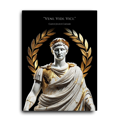 VENI VIDI VICI - STOIC ART CANVAS